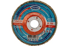 Круг лепестковый универсальный PROF (125х22 мм,  А100, 14А) Tsunami КЛТ1 D96100000P12581