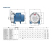 Насос Pedrollo CP 190-ST4 44CP190IA