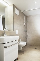 Душевая штанга Grohe New Tempesta Cosmopolitan 27521000