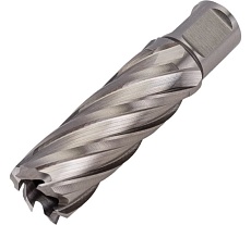 Сверло кольцевое (22х55 мм; HSS; Weldon 19) Euroboor HCL.220