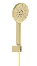 Душевой гарнитур Aquatek Оберон AQ2033BG шлифованное золото
