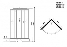 Душевая кабина Niagara NG 6501-14P 90x90 стекло тонированное, пульт управления