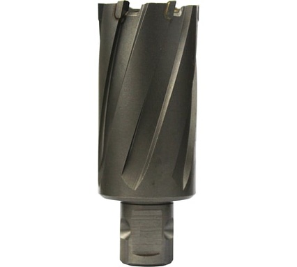 Сверло кольцевое (19х55 мм; TCT; Weldon 19/One-touch) Euroboor HMLU.190