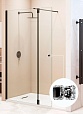 Душевая перегородка RGW Walk In WA-054B (WA-010B + Z-072B) 90x195 черный, прозрачное 351005493-14