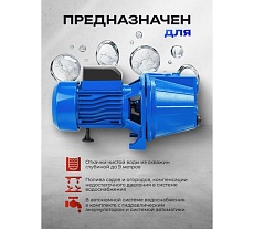 Насос самовсасывающий Forsage (230В, 50Гц, 750Вт, 50л/мин) (обмотка AL) F-JET 100S ALU(61141)