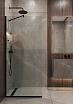 Душевая перегородка Timo TP-890/03C-8 89x195 прозрачное, черный