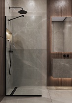Душевая перегородка Timo TP-890/03C-8 89x195 прозрачное, черный