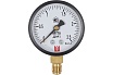 Манометр ДМ 1 Т2 063 Р (0-2.5) МПа, кл.1.5, М12x1.5 BD 1151100008