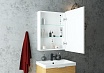Зеркальный шкаф Art&Max Techno 55x80 AM-Tec-550-800-1D-R-DS-F с подсветкой, белый матовый