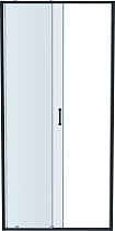 Душевая дверь Aquatek AQ ARI RA 12020BL 120x200, прозрачное, черный