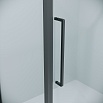 Душевая дверь Niagara Nova 100x195 прозрачное, графит NG-35-10AGR