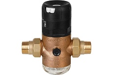 Редуктор давления Goetze G06F-1 1/2C (SP) до 40C GTZARM019