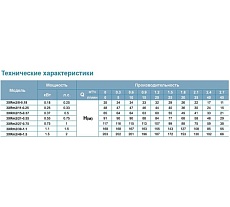 Скважинный насос LEO 3XRm 2/8-0.18 900