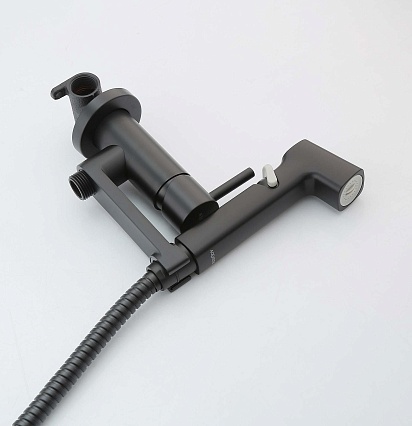 Смеситель Aquatek Ника AQ1819MB с гигиеническим душем, черный матовый Смеситель Aquatek Ника AQ1819MB с гигиеническим душем, черный матовый