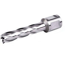 Фреза кольцевая №01 (12х55/88 мм; WELDON19; HSS M2) Профоснастка 40101001