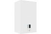 Газовый настенный котел Ferroli BLUEHELIX HITECH RRT 34 H (RU) 0T4D7AYA