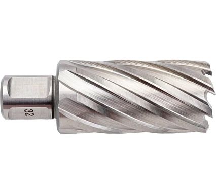 Сверло кольцевое (32х55 мм; HSS; Weldon 19) Euroboor HCL.320