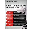 Мотопомпа Ставр бенз, D=25мм, Stavr SMP 25, 2т ДВС 40.2см³, 1470Вт 2 л.с, 167л/мин, глубина 8м, напор 30 м, метал.гайки, фильтр, оснастка 9070600076