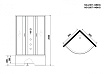Душевая кабина Niagara NG 2507-14BKG 80x80 стекло тонированное, без крыши, гидромассаж