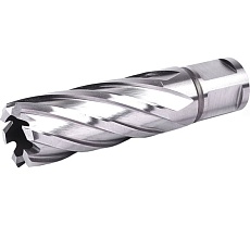 Фреза кольцевая №14 (21х55/88 мм; WELDON19; HSS M2) Профоснастка 40101014