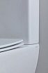 Унитаз-компакт Aquanet Rimless Fine-C Soft Close