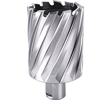 Фреза кольцевая №54 (60х55/88 мм; WELDON19; HSS M2) Профоснастка 40101054