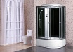 Душевая кабина Niagara NG 2510-14L стекло тонированное