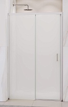 Душевая дверь RGW Passage PA-017 160x195, матовое, хром 350801716-21