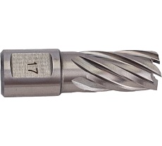 Сверло кольцевое (17х30 мм; HSS; Weldon 19) Euroboor HCS.170