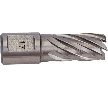 Сверло кольцевое (17х30 мм; HSS; Weldon 19) Euroboor HCS.170