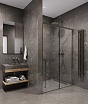 Душевая дверь Timo TDSS-140/13C-8L 140x200 прозрачное, никель
