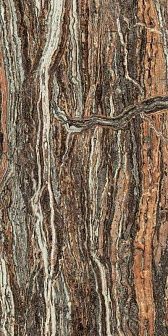 Керамогранит Atlas Concorde Epos Jurassic Rett Lapp 60x120 см, 610015000597