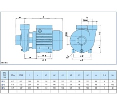 Насос SAER BP5 400V 100548187