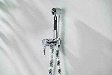 Смеситель Aquatek Европа AQ1020CR с гигиеническим душем, хром Смеситель Aquatek Европа AQ1020CR с гигиеническим душем, хром