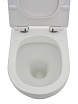 Унитаз-компакт AQUAme AQM1002 / AQM1101 безободковый, с микролифтом