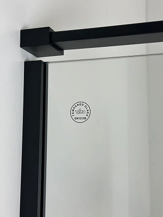 Душевой уголок Timo TTSSP-100/03C-8 100x100 прозрачный, черный T71
