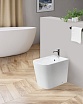 Напольное биде BelBagno Albano BB120B