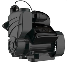 Насосная станция с умным управлением Pumpman TGPB125I 82117