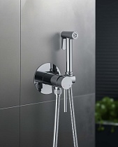 Смеситель Aquatek Европа AQ1021CR с гигиеническим душем, хром
