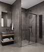 Душевая дверь Timo TDSS-140/03C-8L 140x200 прозрачное, черный