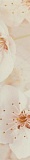 Бордюр Шахтинская плитка Сакура коричневый 01 7,5x40 см, 10212001777