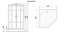 Душевая кабина Niagara Premium NG- 6902-01GD BLACK 100x100