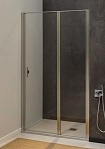 Душевая дверь Allen Brau Priority 100x200 3.31005.BA прозрачная, серебро браш