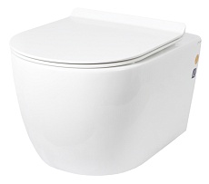 Подвесной унитаз Creto Logan 1001-001-L1W безободковый