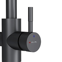 Смеситель для кухни Am.Pm X-Joy S F85B05722 с каналом, черный