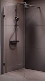 Душевая перегородка Am.Pm X-Joy W94WI-80-F1-BTE 80x195 черный матовый, прозрачное