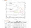 Скважинный насос LEO 3XRm 3/21-0.75 кабель 60 м, 750 Вт, 220В/50Гц, Qmax. 3,6 м3/ч, Hmax. 84 м 2119