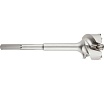 Бур проломной SDS-max (45x310 мм) PROJAHN 818045280