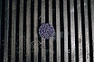 Диск быстросменный на винтовом креплении CD QD-R, D=50 мм, Purple Abraforce AFQDCDR5000PUR