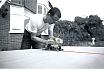 Дисковая пила Ryobi RCS1600-K 5133002779